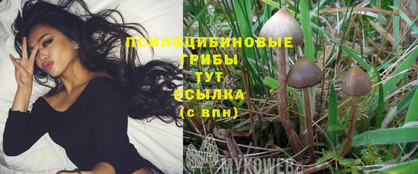 твердый Алзамай