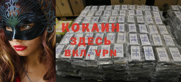 твердый Алзамай