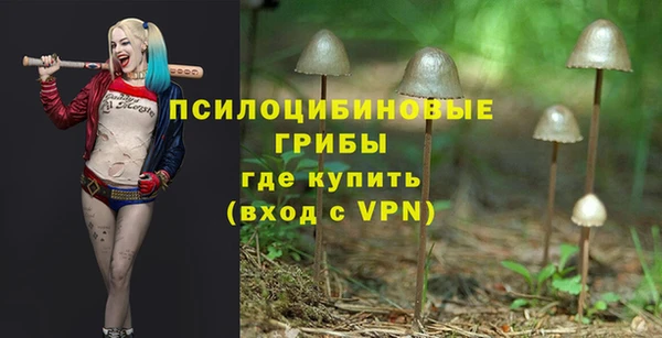 a pvp Алексеевка