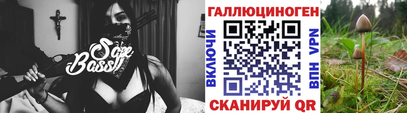 Псилоцибиновые грибы Psilocybe  Разумное 